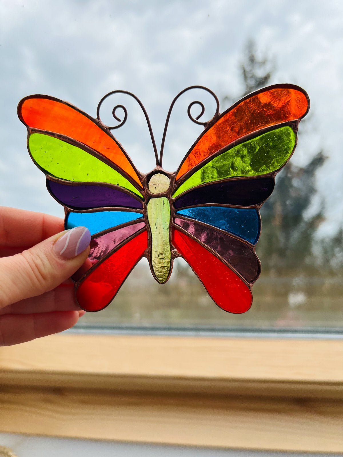 Rainbow butterfly