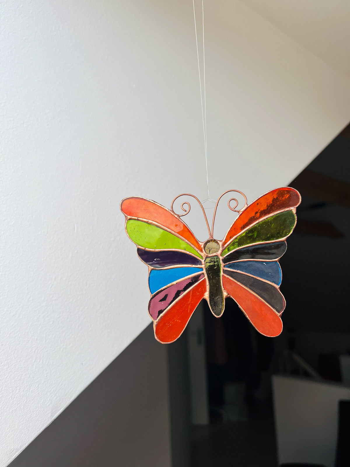 Rainbow butterfly