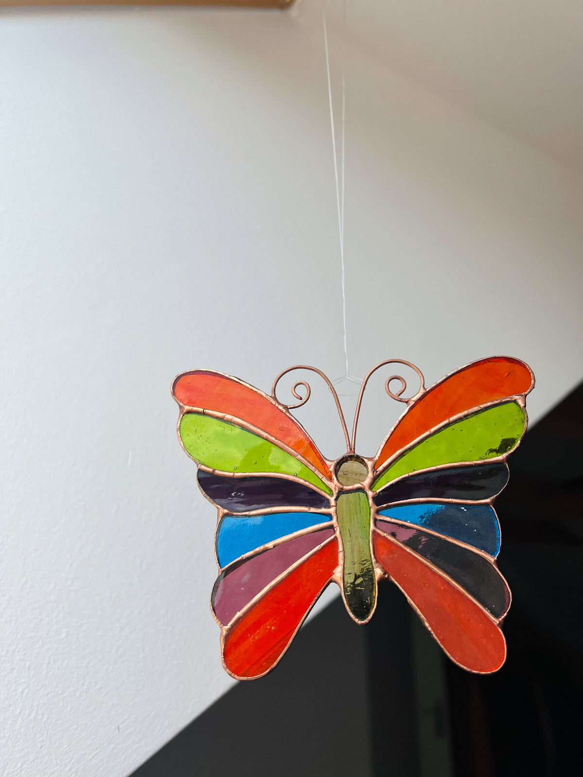 Rainbow butterfly