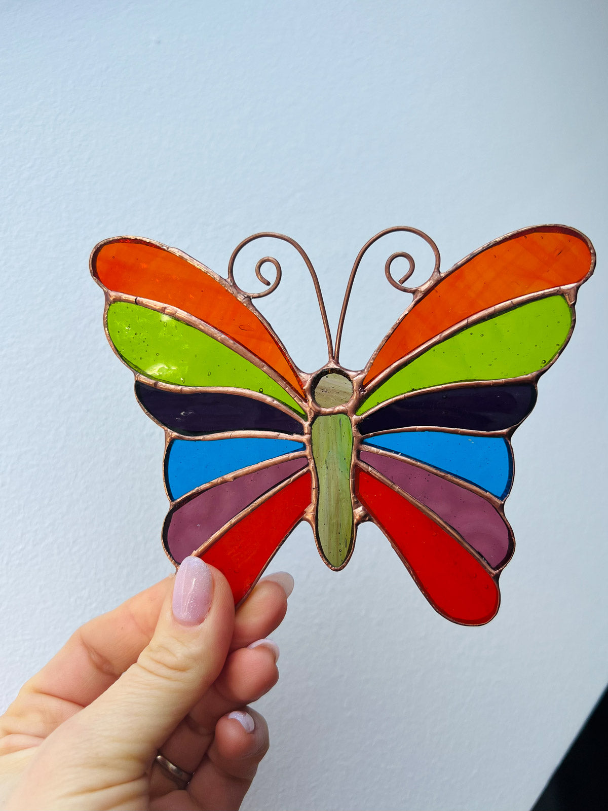 Rainbow butterfly