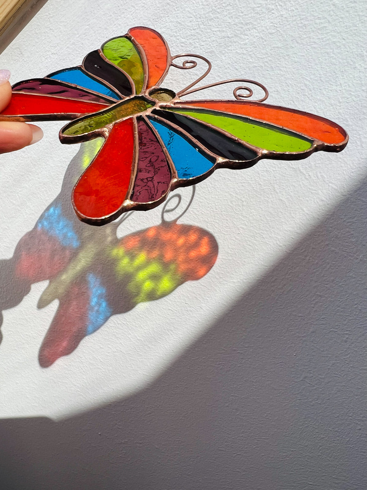 Rainbow butterfly