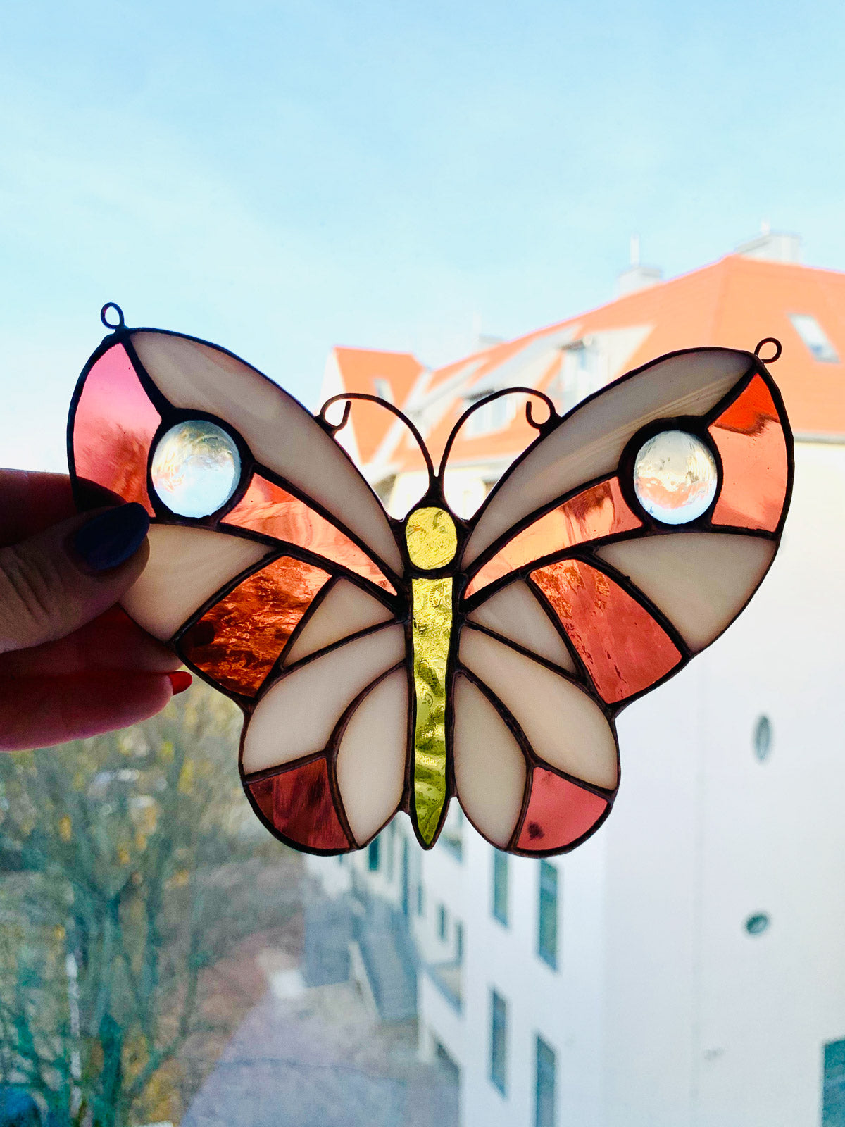 Motyl 2