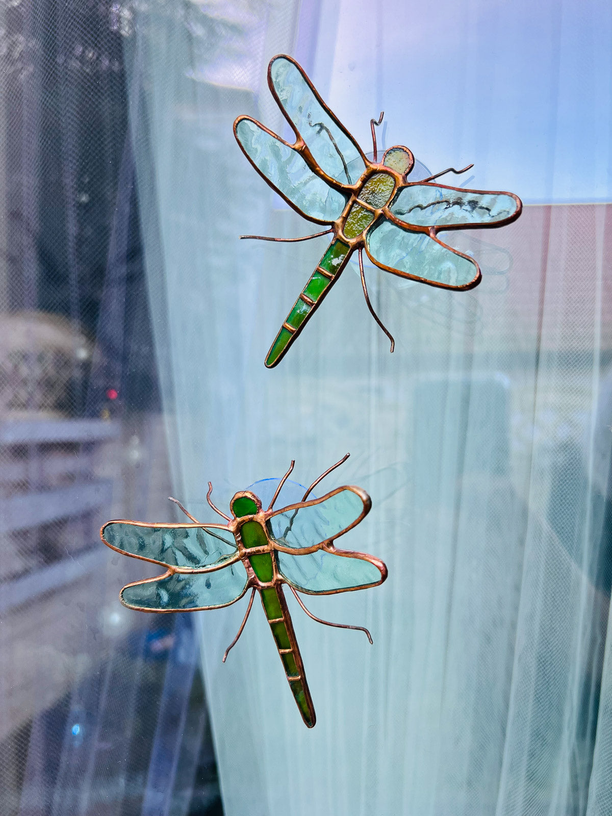 Dragonfly with suction cup