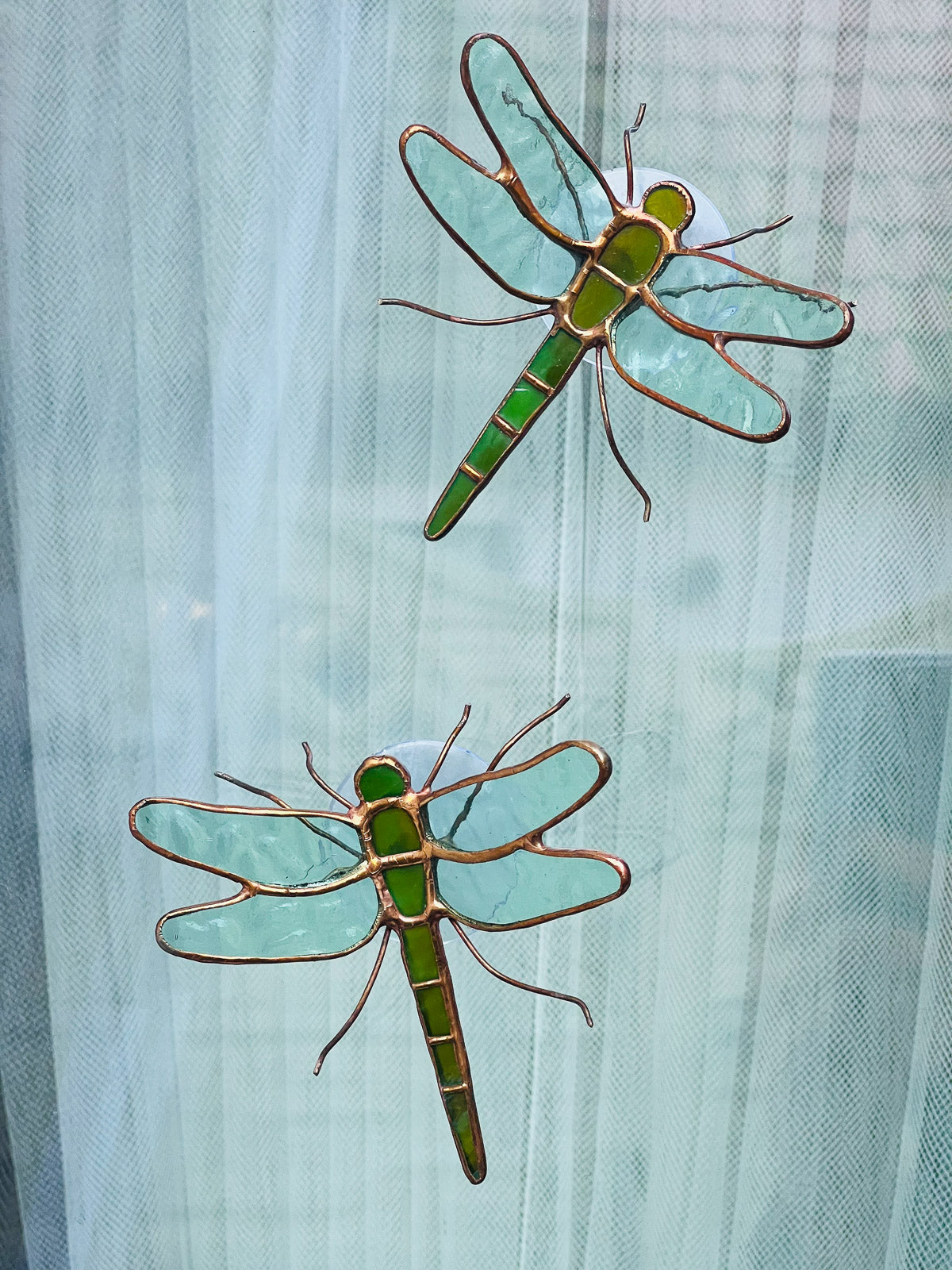 Dragonfly with suction cup