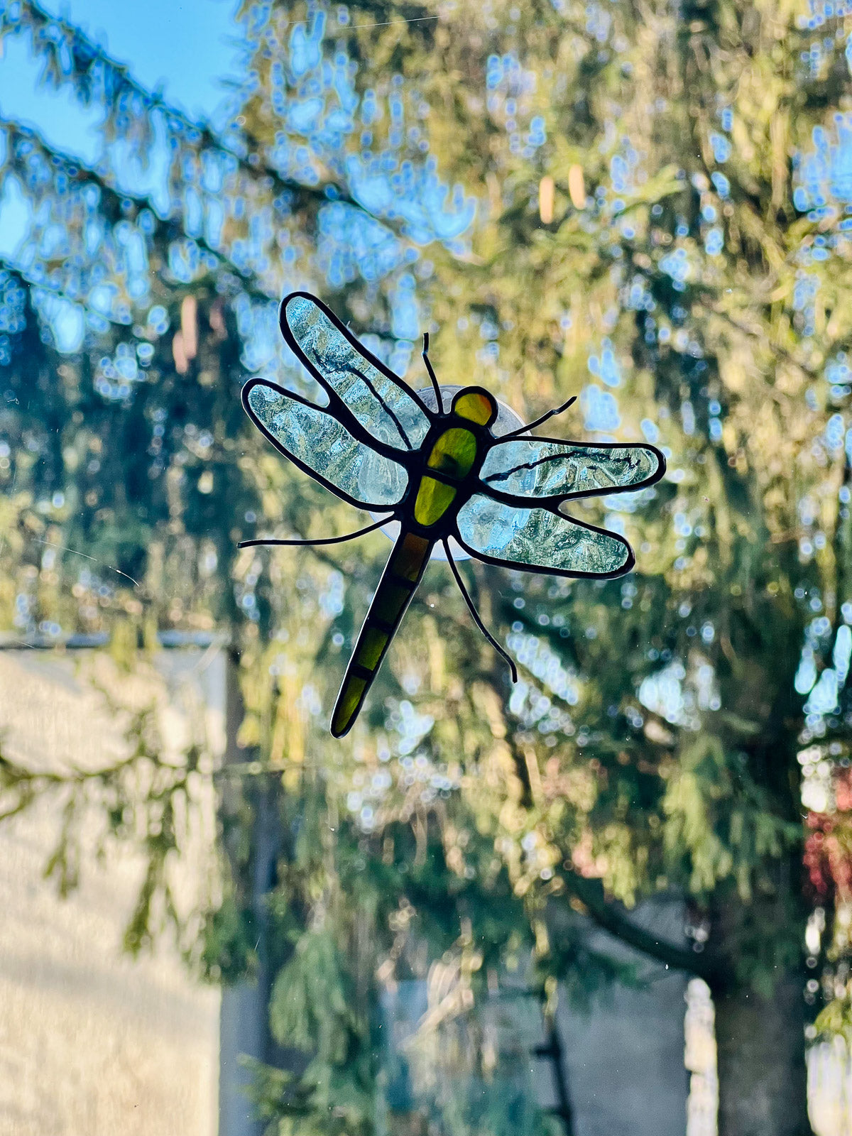 Dragonfly with suction cup