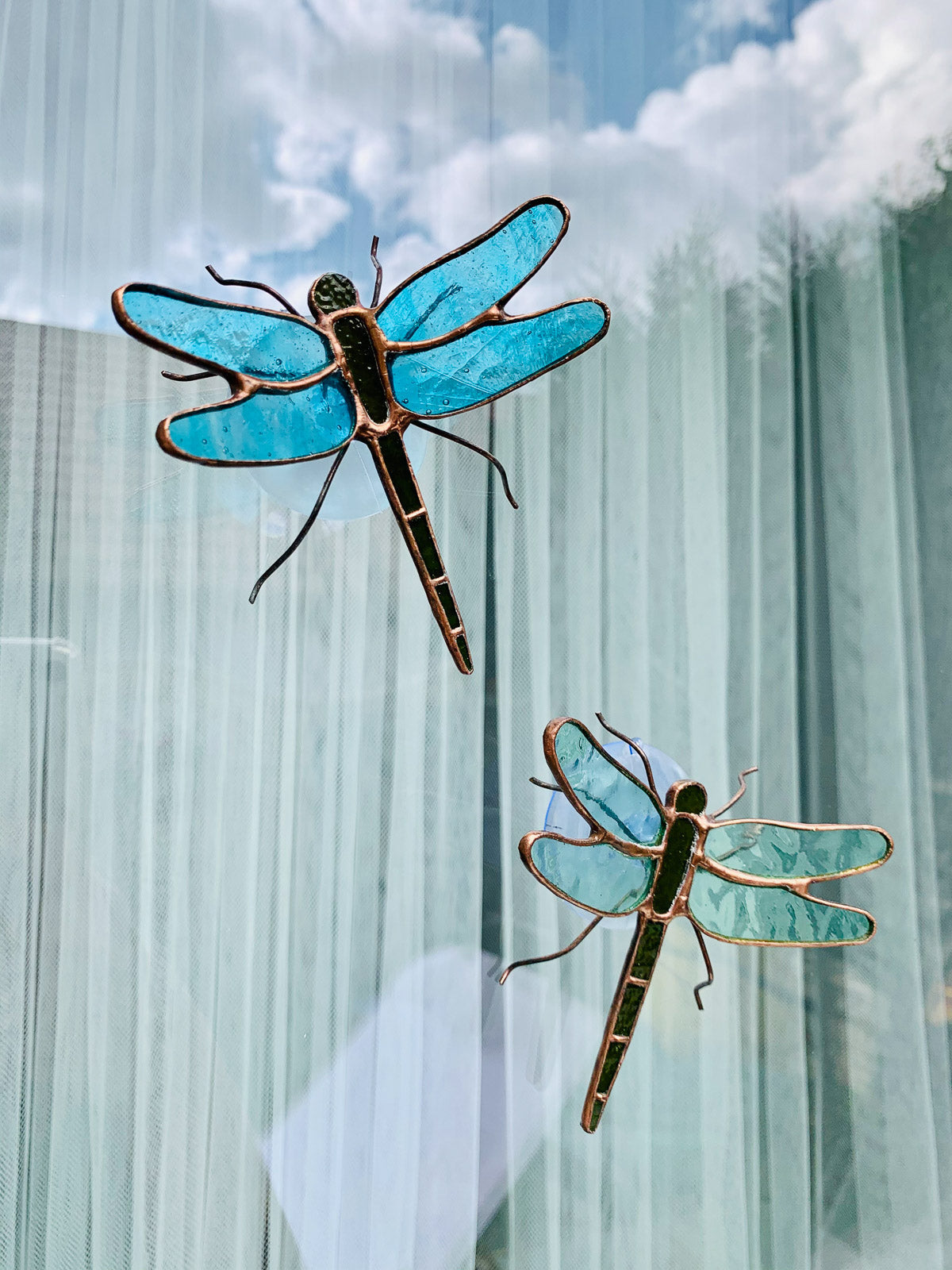 Dragonfly with suction cup