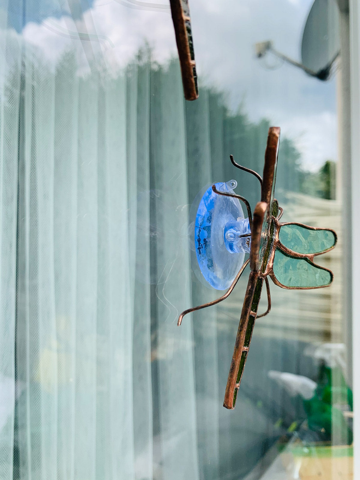 Dragonfly with suction cup