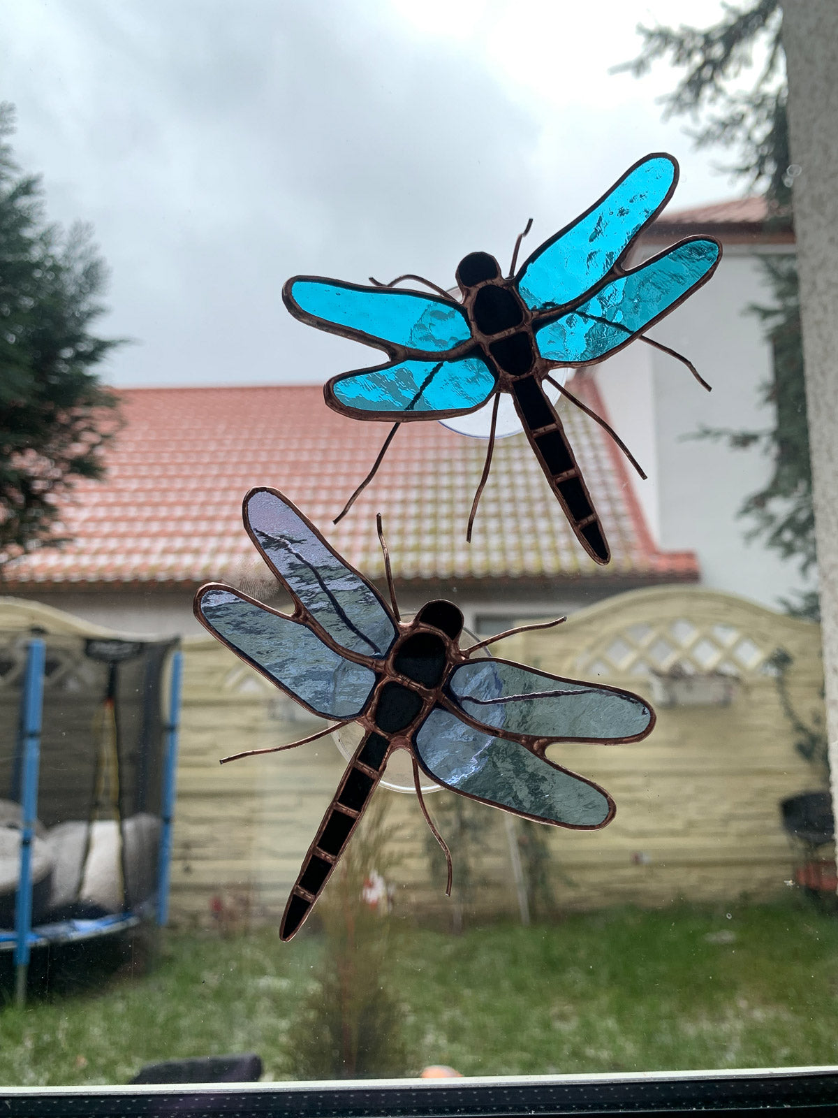 Dragonfly with suction cup