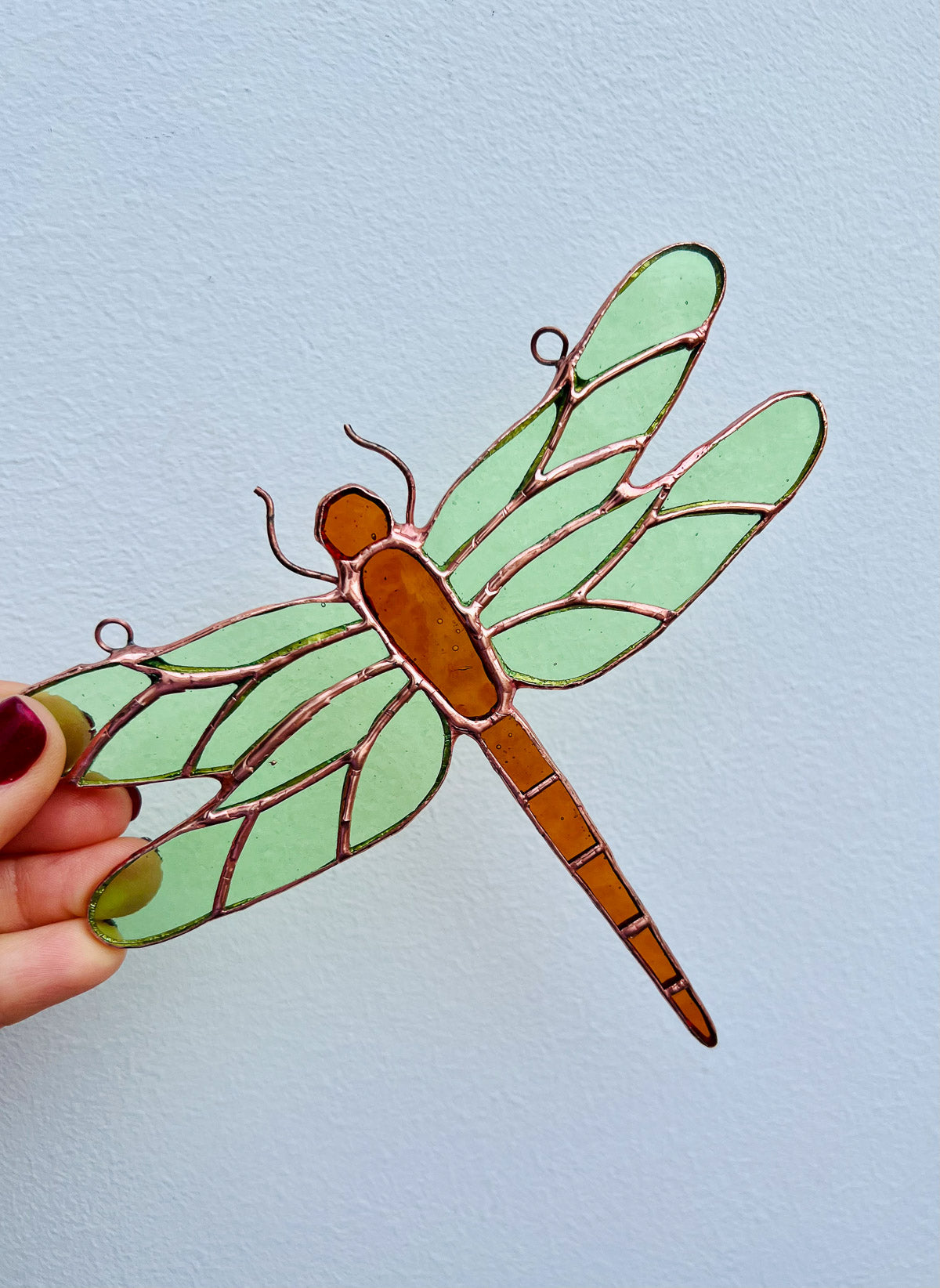 Dragonfly nature