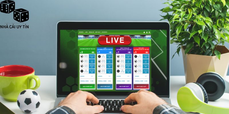 Tỷ Lệ Kèo Nhà Cái 1 Hướng dẫn đọc một vài tỷ lệ kèo nhà cái chính xác nhất